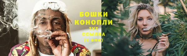 спайс Вяземский