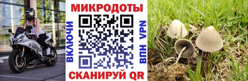 Купить закладки  Кулебаки  Псилоцибиновые грибы Psilocybine cubensis 